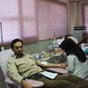 اهدا خون توسط  کارکنان و کارگزاران زیارتی استان یزد بمناسبت هفته حج 95